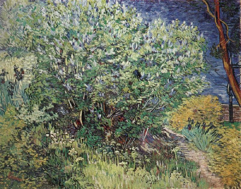 The Bush, Vincent Van Gogh